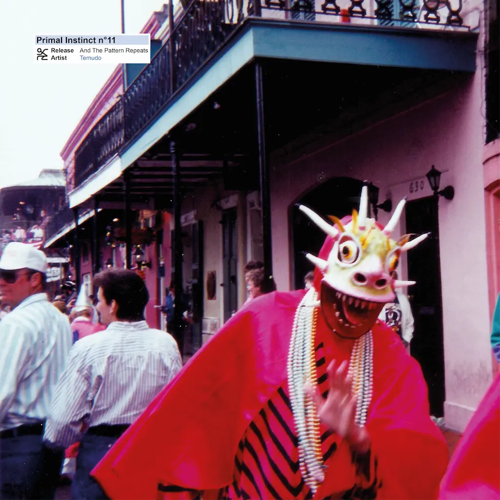 Album Cover of Temudo And The Pattern Repeats album